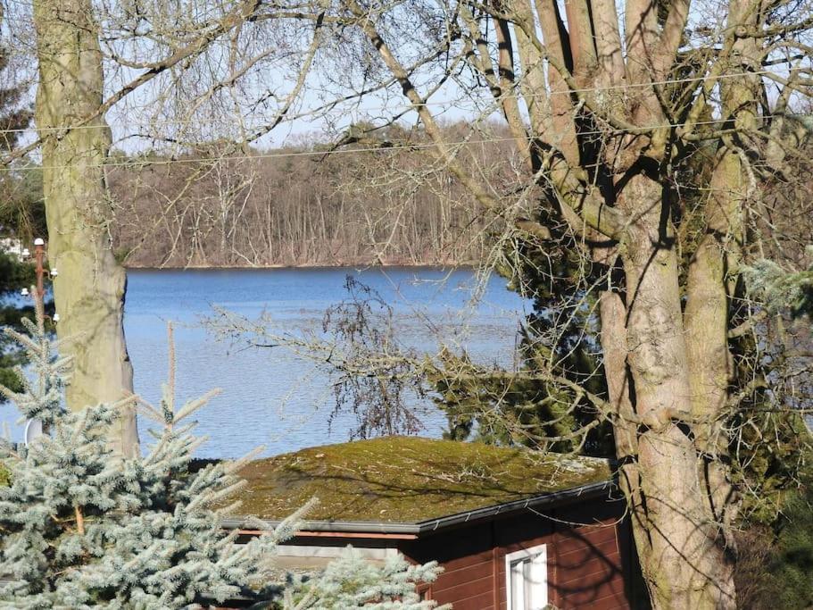 Dachwohnung Mit Wasserblick Und Eigenem Bootssteg Berlin Bagian luar foto