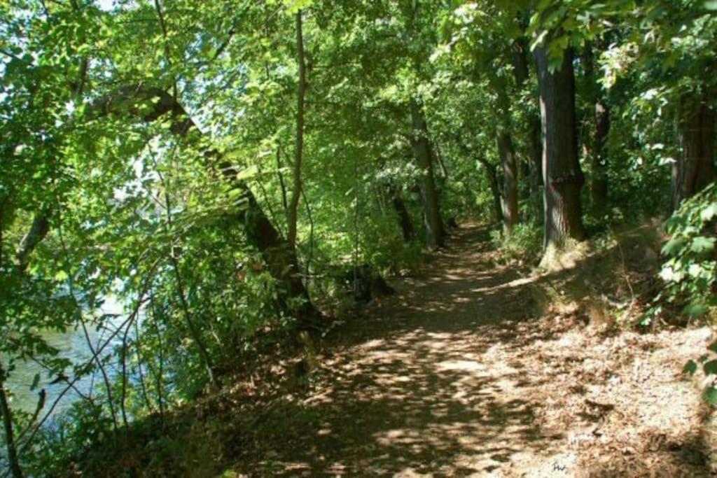 Dachwohnung Mit Wasserblick Und Eigenem Bootssteg Berlin Bagian luar foto